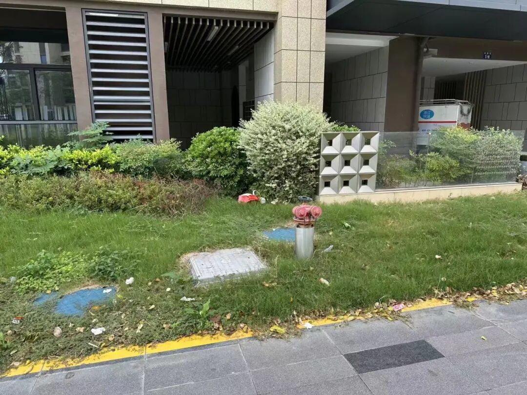 微信图片_20251021100142_125_717.jpg